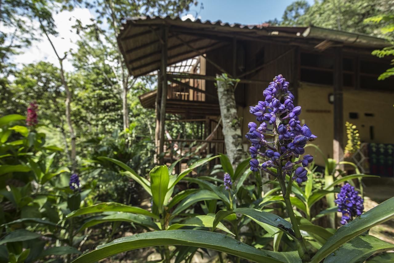 Chirapa Manta Amazon Lodge Lamas Exterior photo